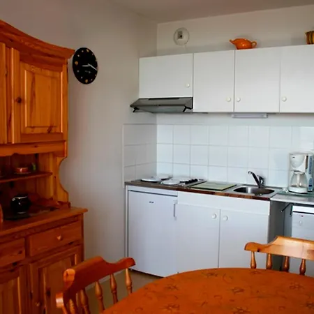 Super Avec Terrasse Sud Et Garage Prive - Fr-1-814-67 Appartamento Besse-et-Saint-Anastaise